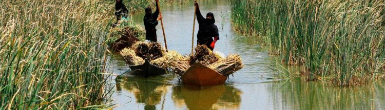 Three women on traditional boats in what could be a river in the Marshlands of Iraq